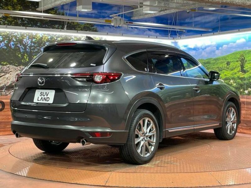 CX-8