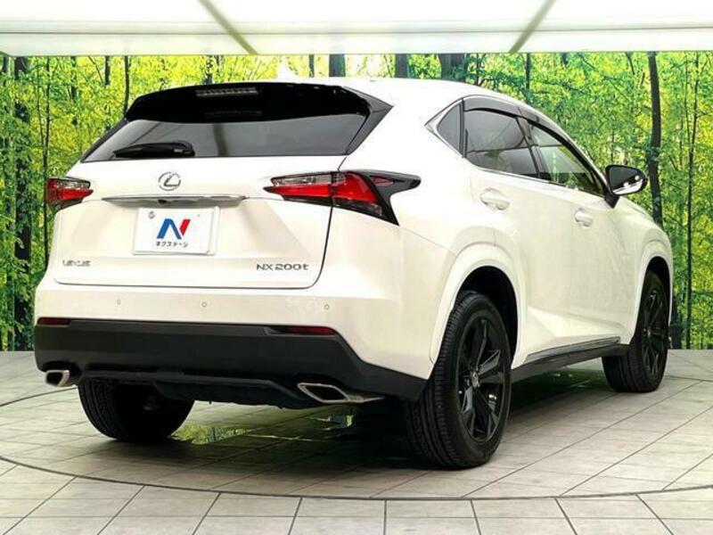 NX
