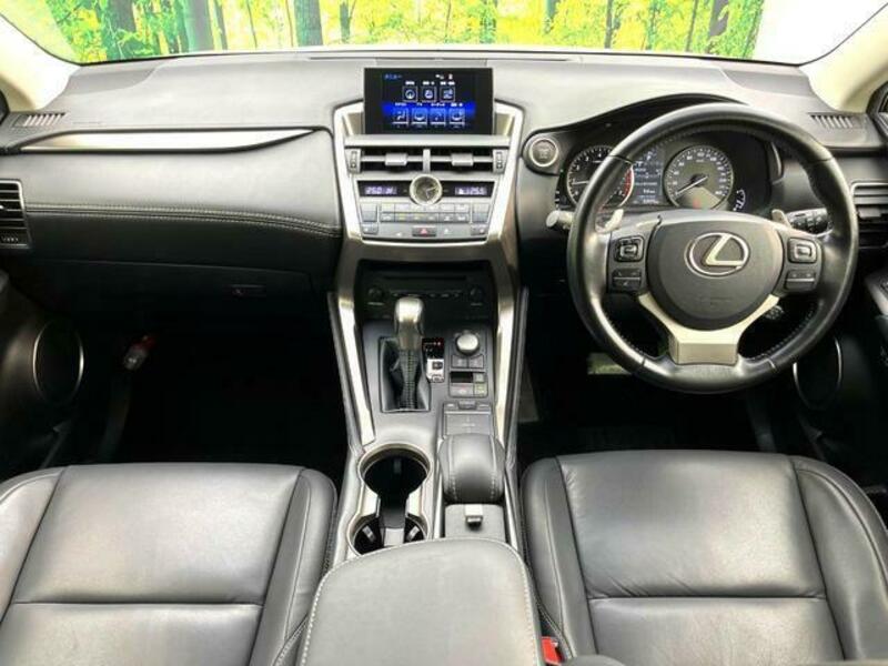 NX