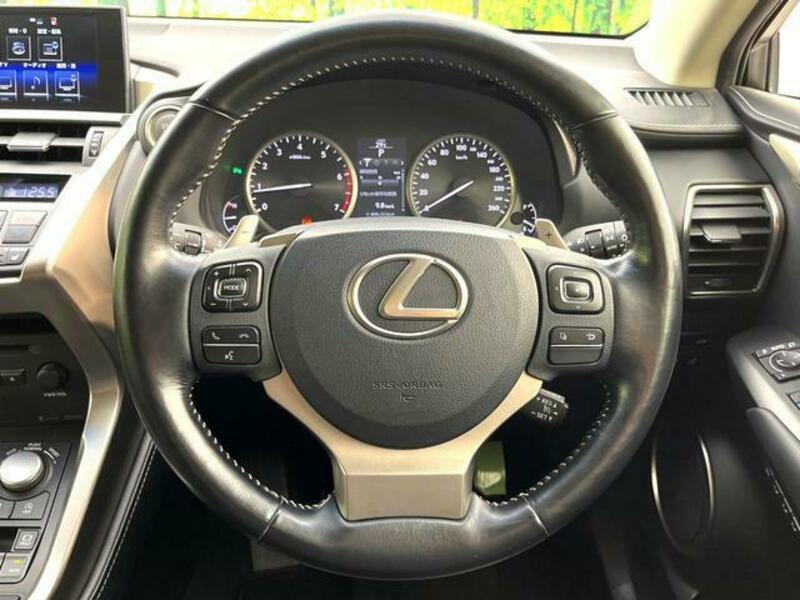 NX