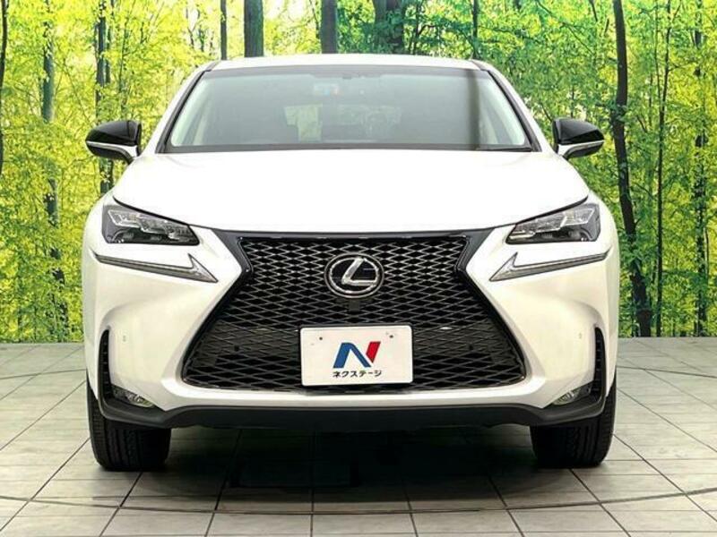 NX