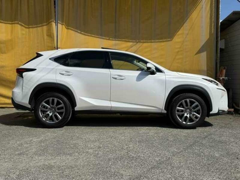 NX