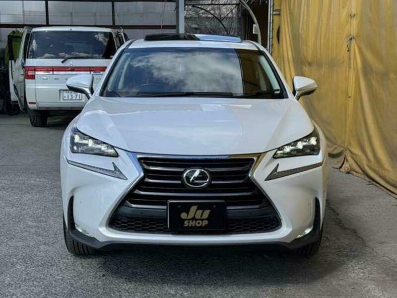 NX