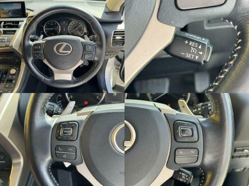 NX
