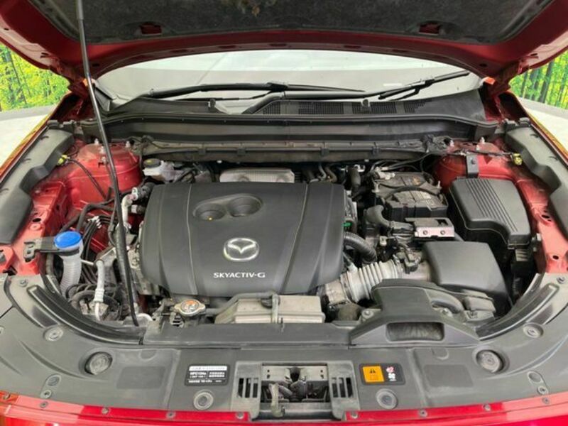 CX-8