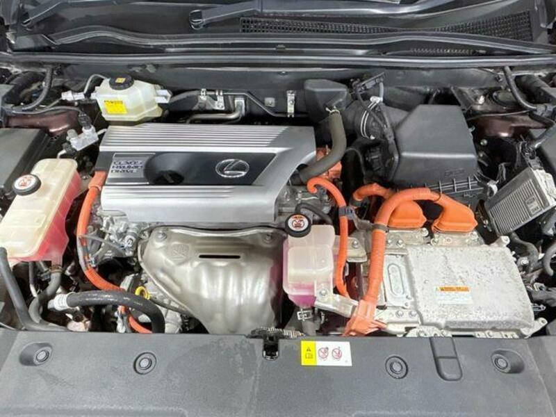 NX
