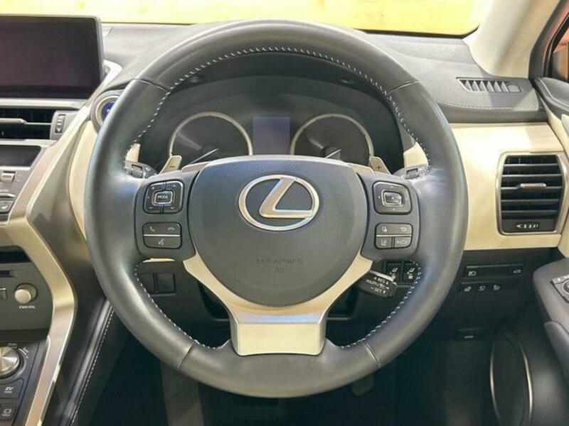NX