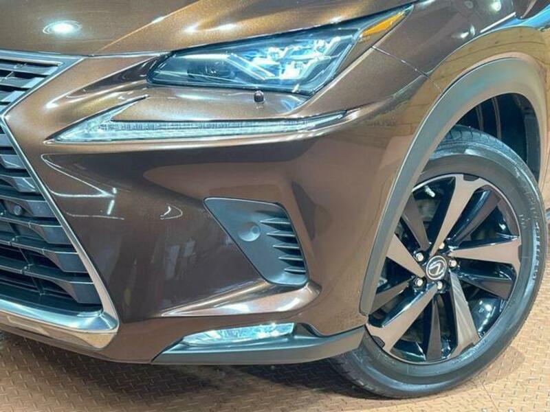 NX