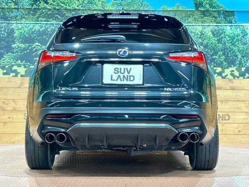 NX