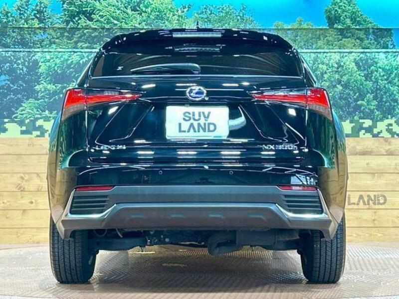 NX