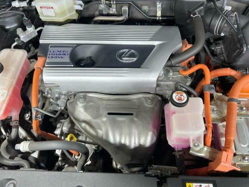 NX