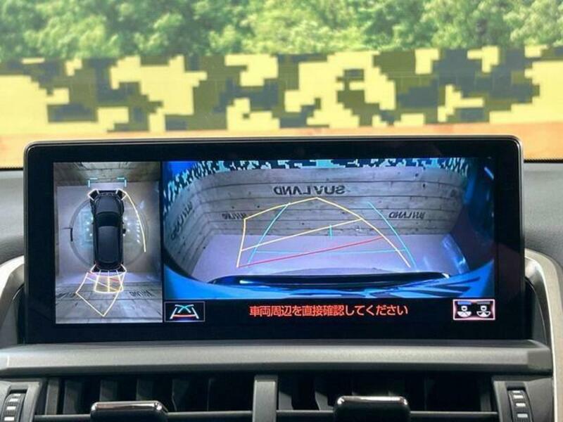 NX