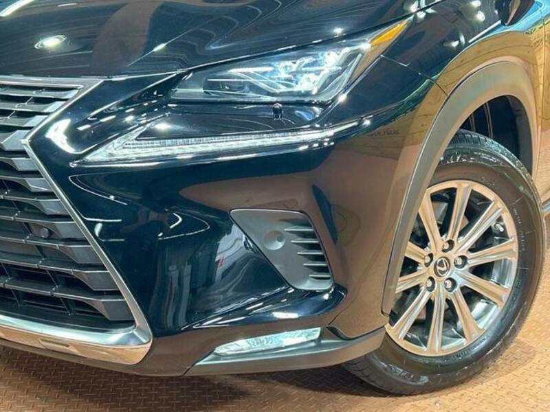 NX