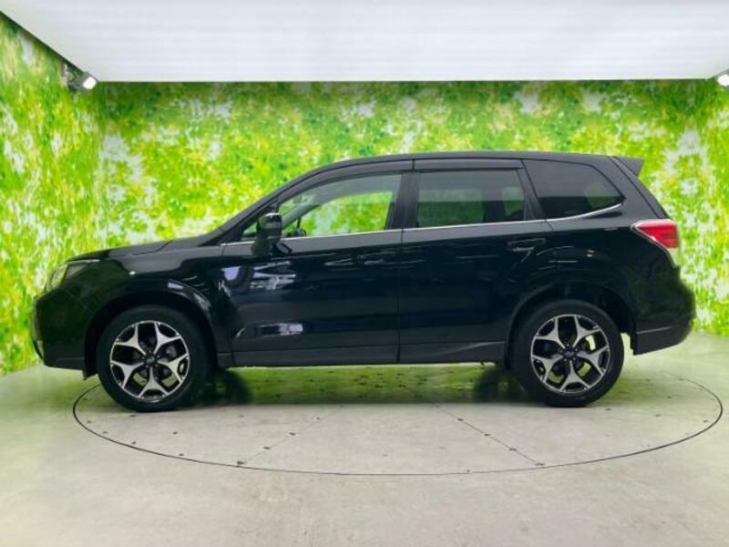 FORESTER