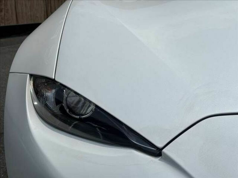 ROADSTER