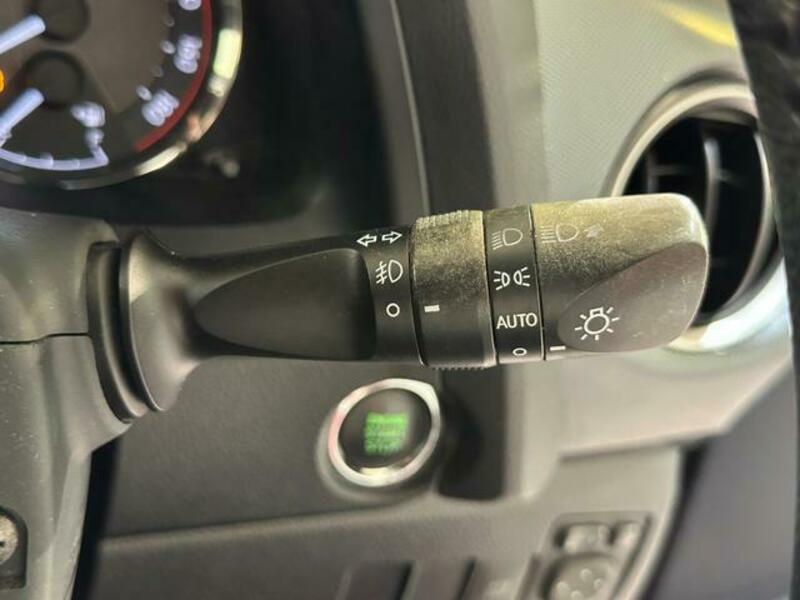 AURIS