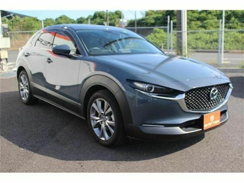 CX-30