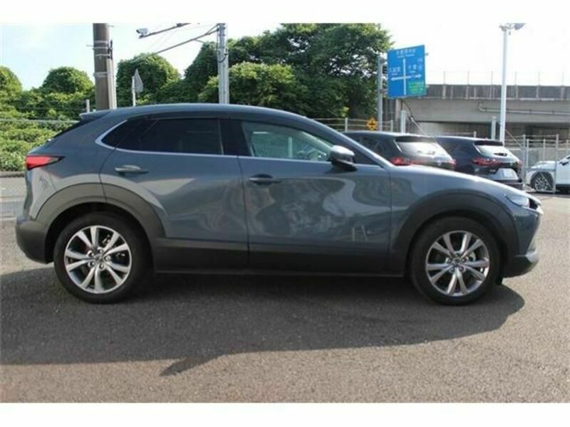 CX-30