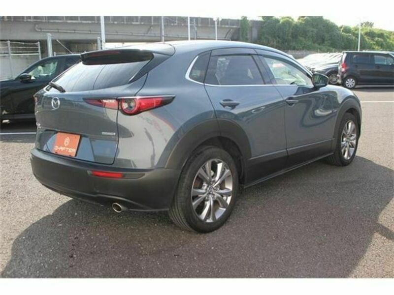CX-30