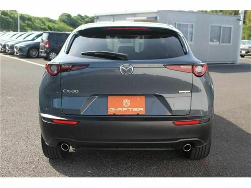 CX-30