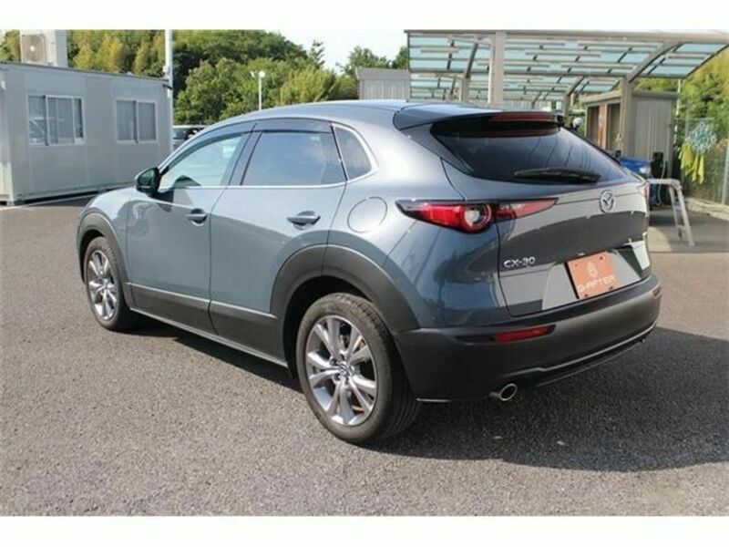 CX-30