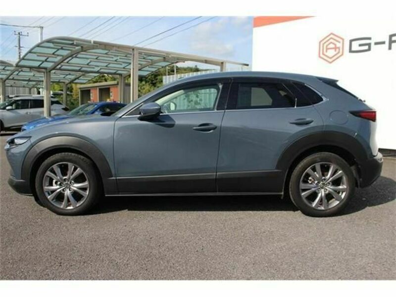 CX-30