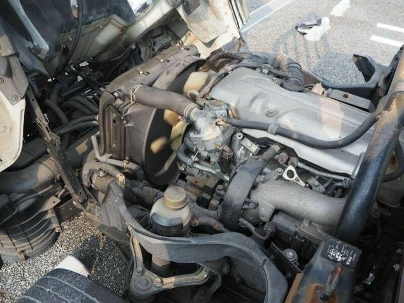 CANTER GUTS