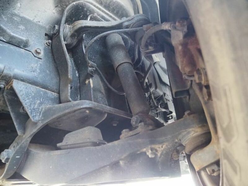 CANTER GUTS