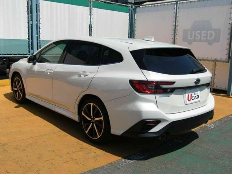LEVORG