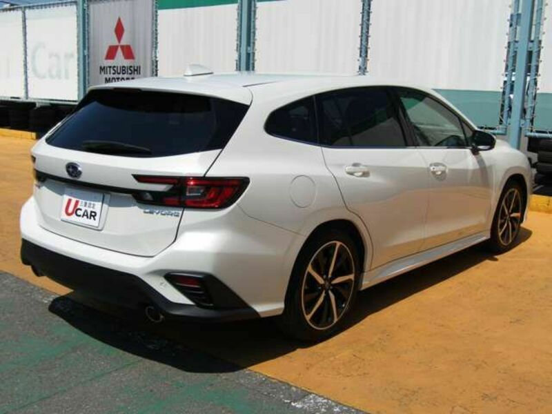 LEVORG