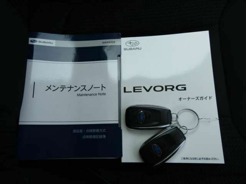 LEVORG