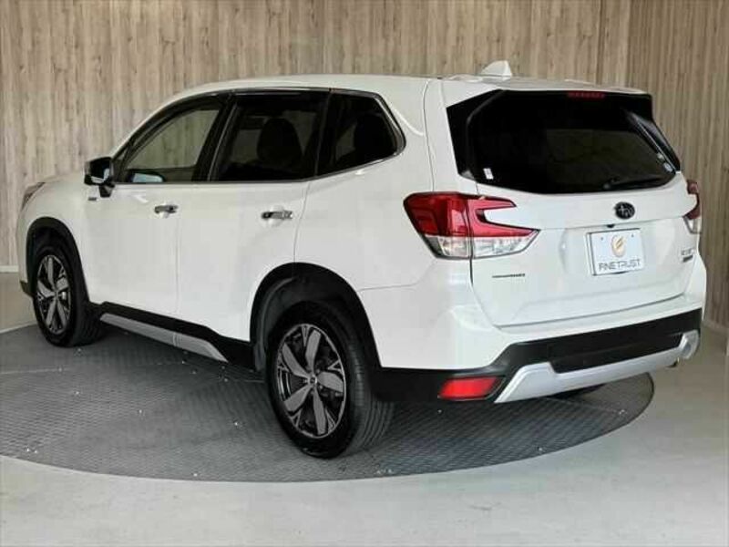FORESTER