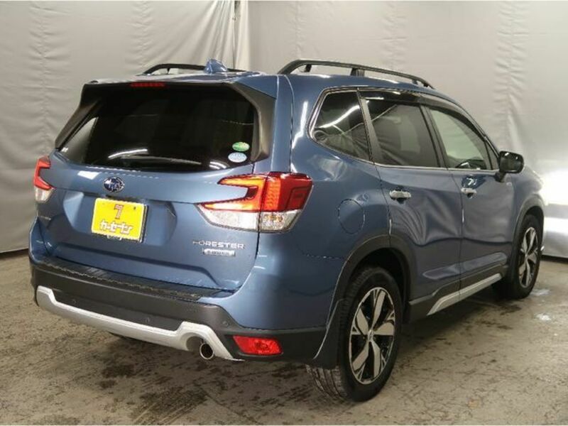 FORESTER