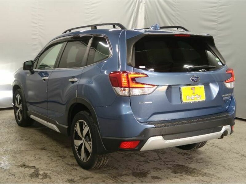 FORESTER