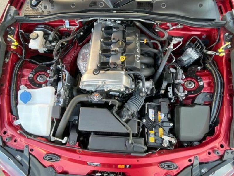 ROADSTER RF