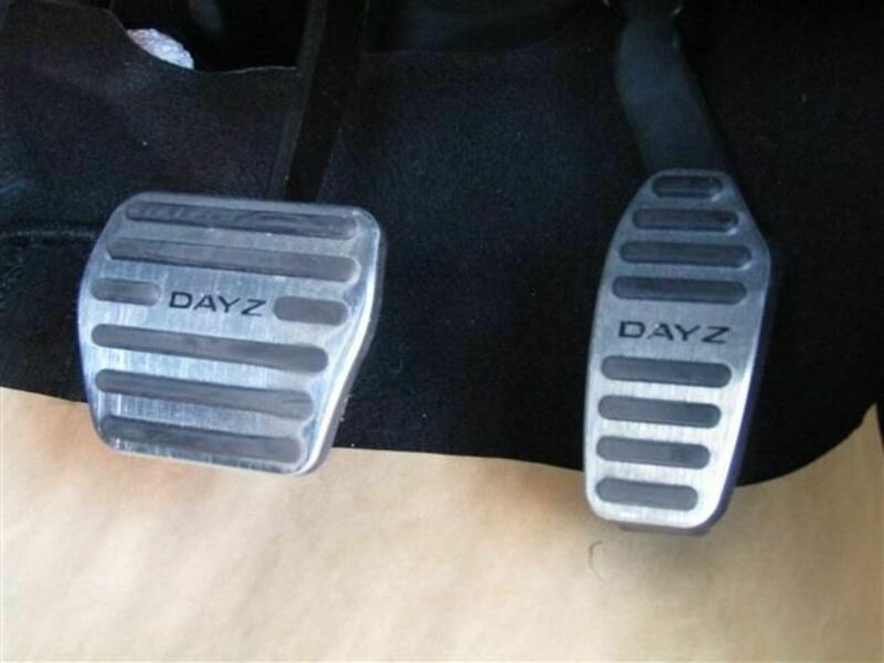 DAYZ
