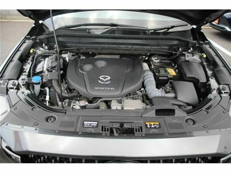 CX-8
