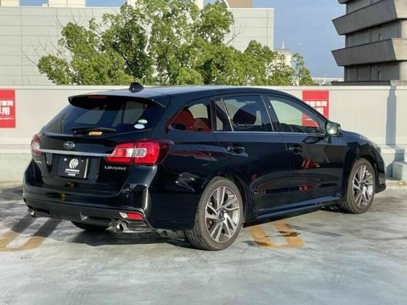 LEVORG