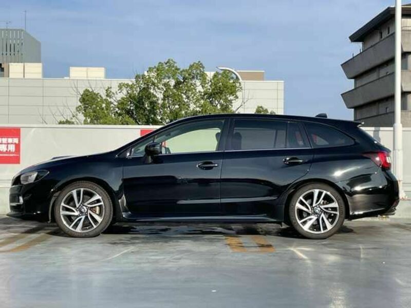 LEVORG