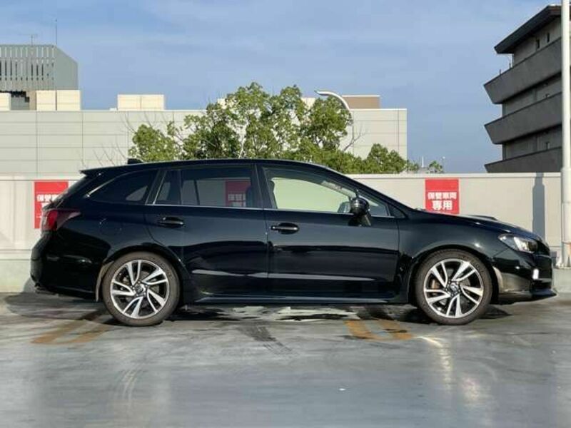 LEVORG