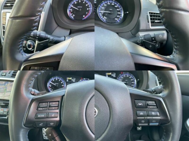 LEVORG