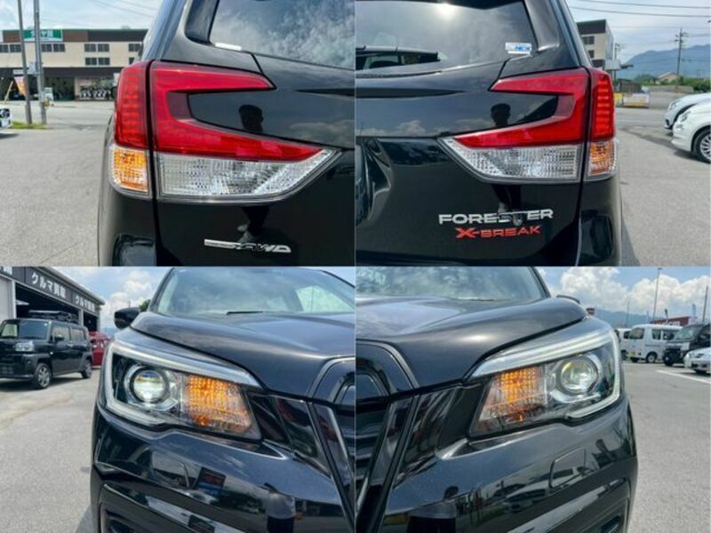 FORESTER