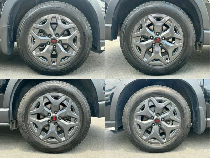 FORESTER