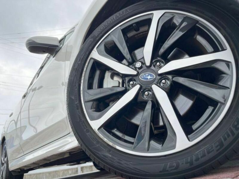 LEVORG
