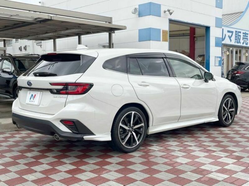 LEVORG