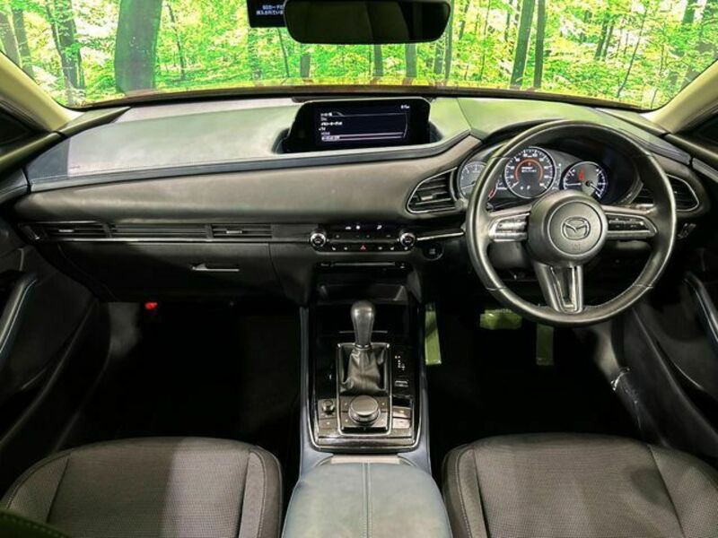 CX-30