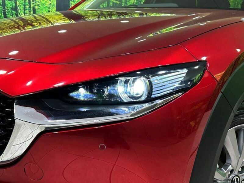 CX-30