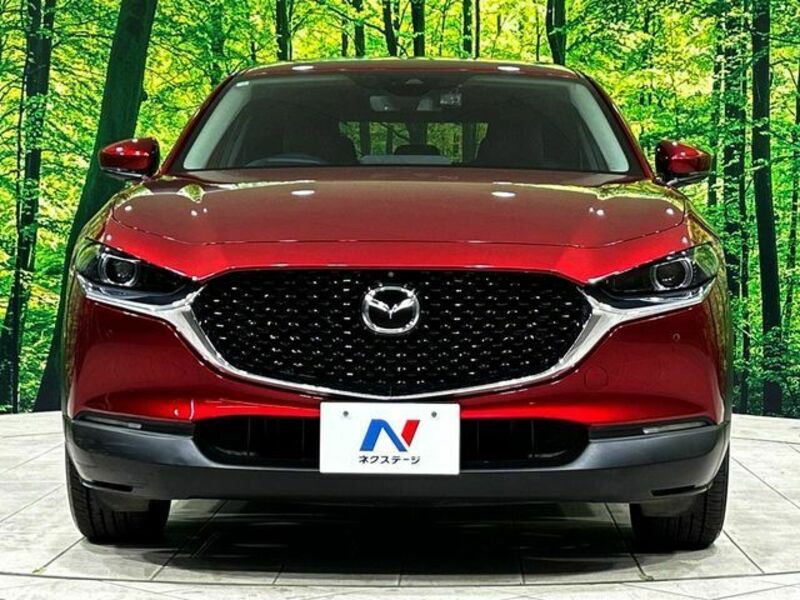 CX-30