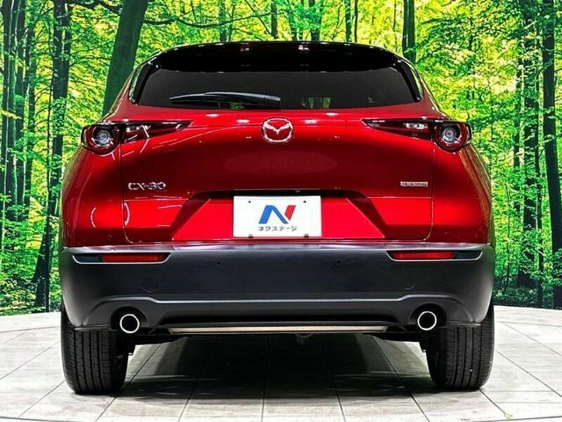 CX-30