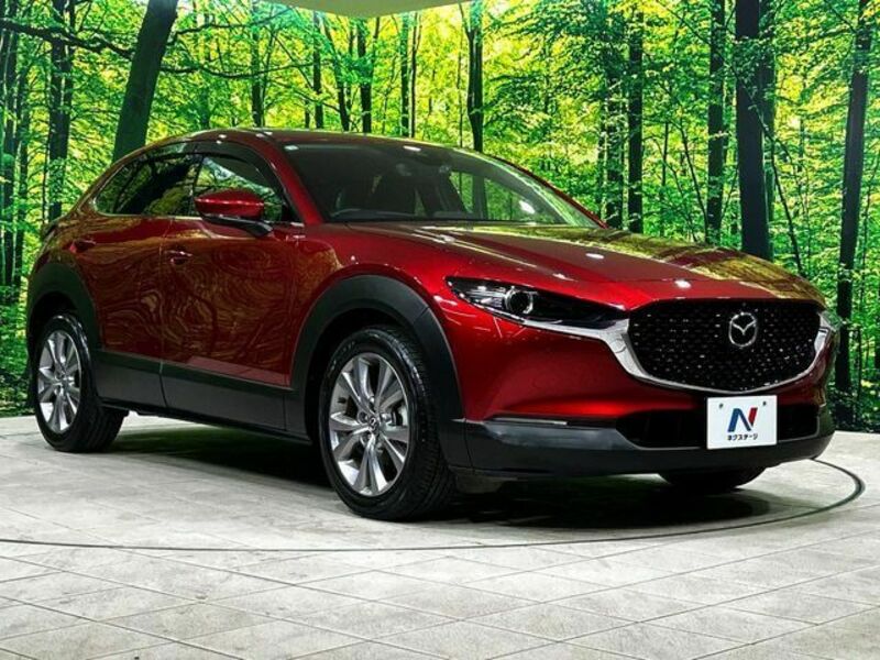 CX-30